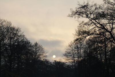 Silhouette trees against sky during sunset