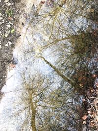 Low angle view of tree against sky