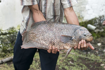 Midsection of man holding fish
