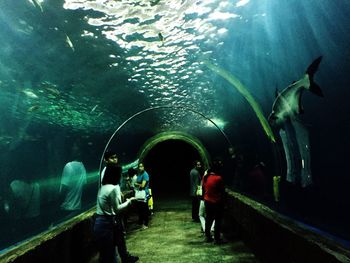 People swimming in aquarium