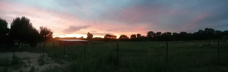 Panoramic view of trees against sky during sunset