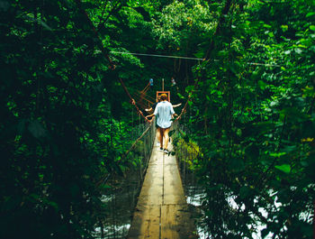 Rear view of man standing by trees in forest