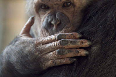 Close-up of human hand holding eye