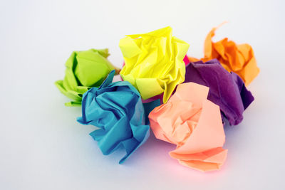 Close-up of multi colored roses against white background