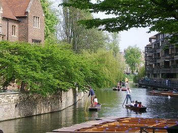 People on river amidst trees in city