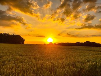 Scenic view of field against sky during sunset