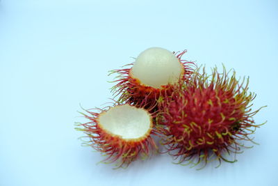 Close-up of fruit against white background