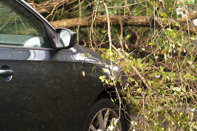 Close-up of abandoned car on field