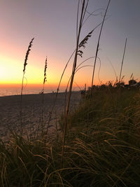 Scenic view of sunset over sea