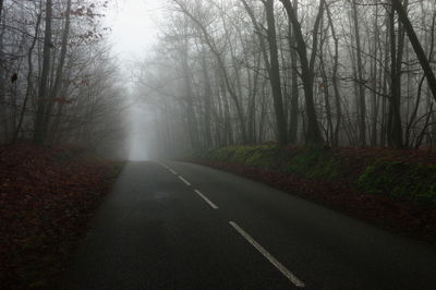 Road amidst trees in forest