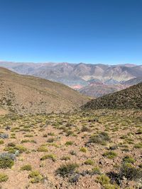 Scenic view of desert against clear blue sky