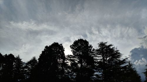 Low angle view of silhouette trees against sky