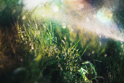 Close-up of wet window during rainy season