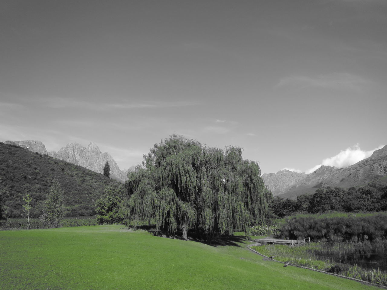 SCENIC VIEW OF GOLF COURSE