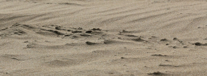 Full frame shot of sand