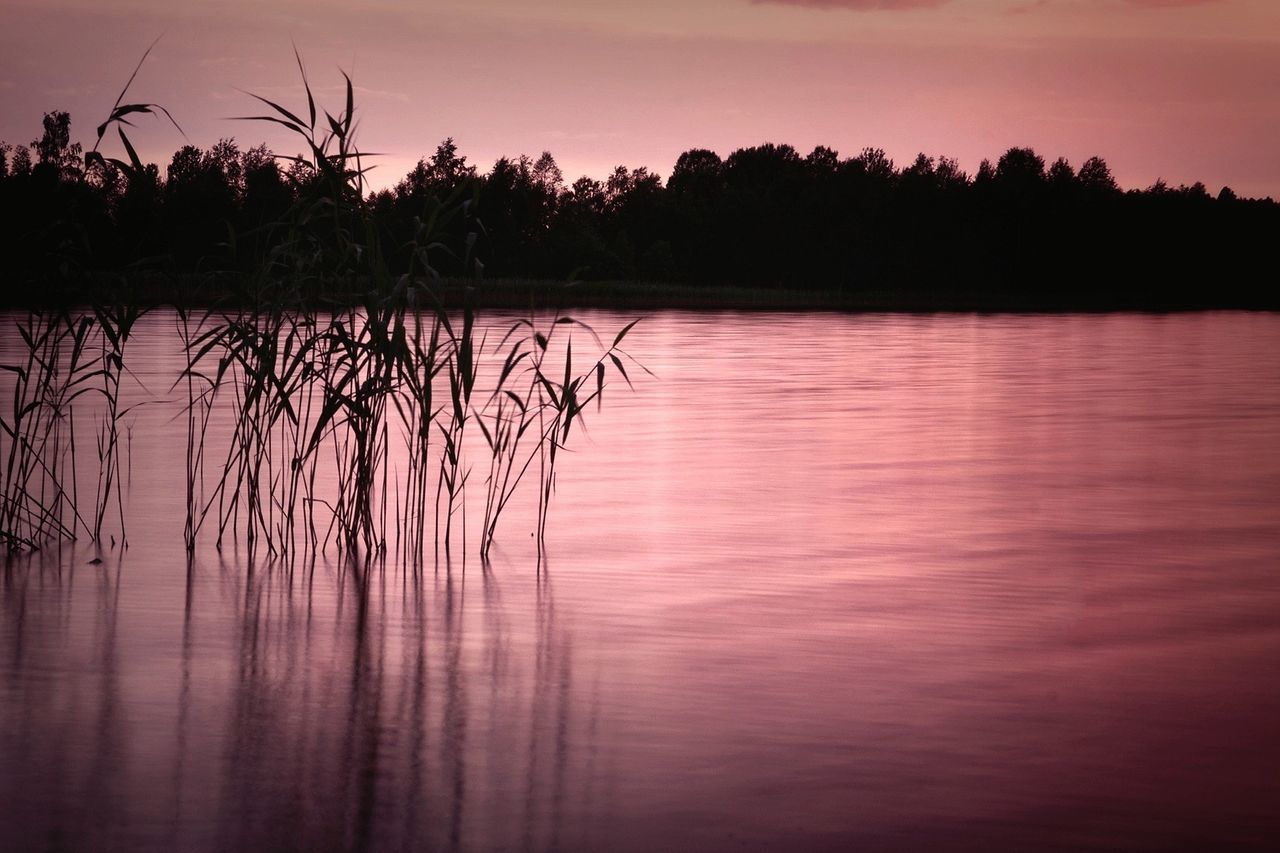 water, reflection, sunset, lake, tranquil scene, tranquility, silhouette, scenics, beauty in nature, nature, waterfront, idyllic, sky, tree, rippled, calm, plant, outdoors, majestic, dusk