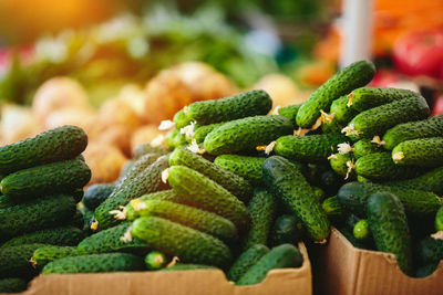 Heap of green cucumbers at farmers' market