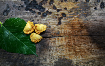 Close-up of fresh leaves on table