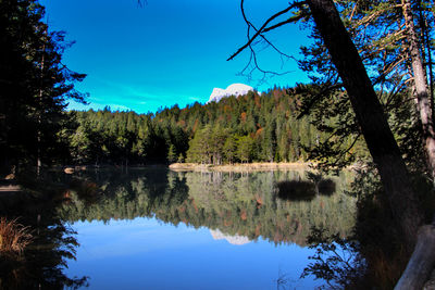 Reflection of trees in lake against sky