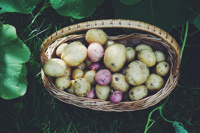 Close-up of potatoes in basket