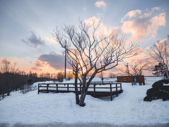 Bare trees on snow covered field against sky during sunset