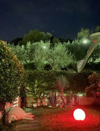 People in illuminated park against sky at night