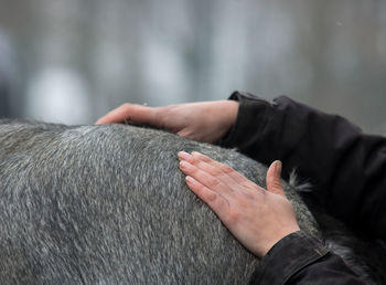 Close-up of man hand