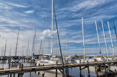 Sailboats moored in harbor