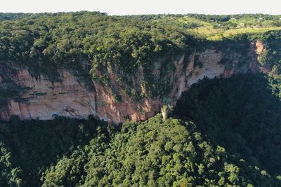 High angle view of rocks and trees in forest