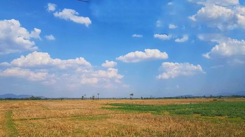 Scenic view of agricultural field against sky