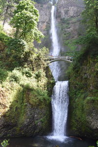 View of waterfall in forest