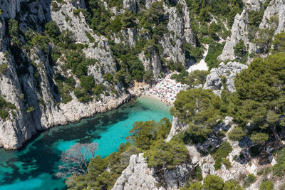 High angle view of rocks by sea against trees