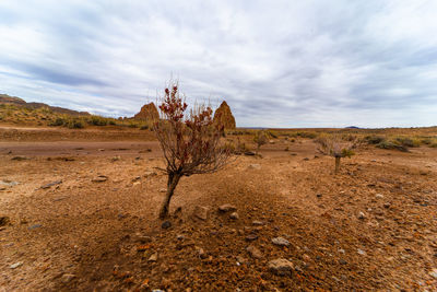 Scenic view of desert against sky