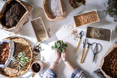 High angle view of food on table