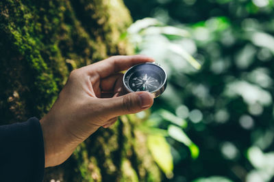 Midsection of person holding crystal ball on tree