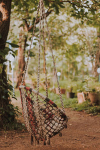 Close-up of wicker basket hanging on tree