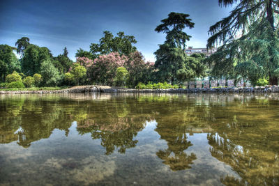 Reflection of trees in lake against sky