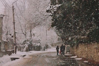 Rear view of people walking on snow covered trees