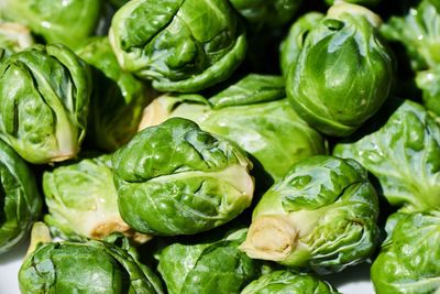 Full frame shot of brussels sprouts