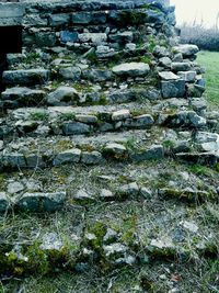 Moss covered rocks on field