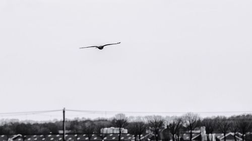 Low angle view of airplane flying against clear sky