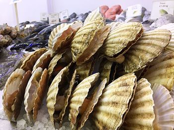 Close-up of fish for sale in market