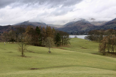 Scenic view of landscape against sky