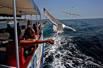 Low angle view of seagulls flying over sea against sky
