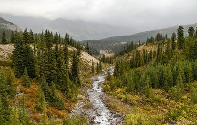 Panoramic view of trees and mountains against sky