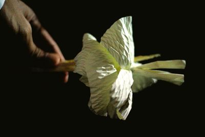 Close-up of hand against black background
