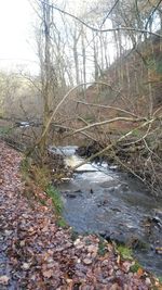 Stream flowing through rocks