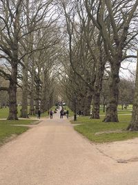 People on bare trees against sky