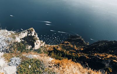 High angle view of sea and mountain