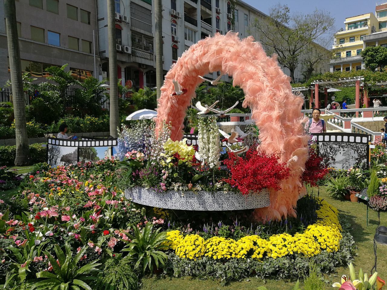 VIEW OF FLOWERING PLANTS BY CITY